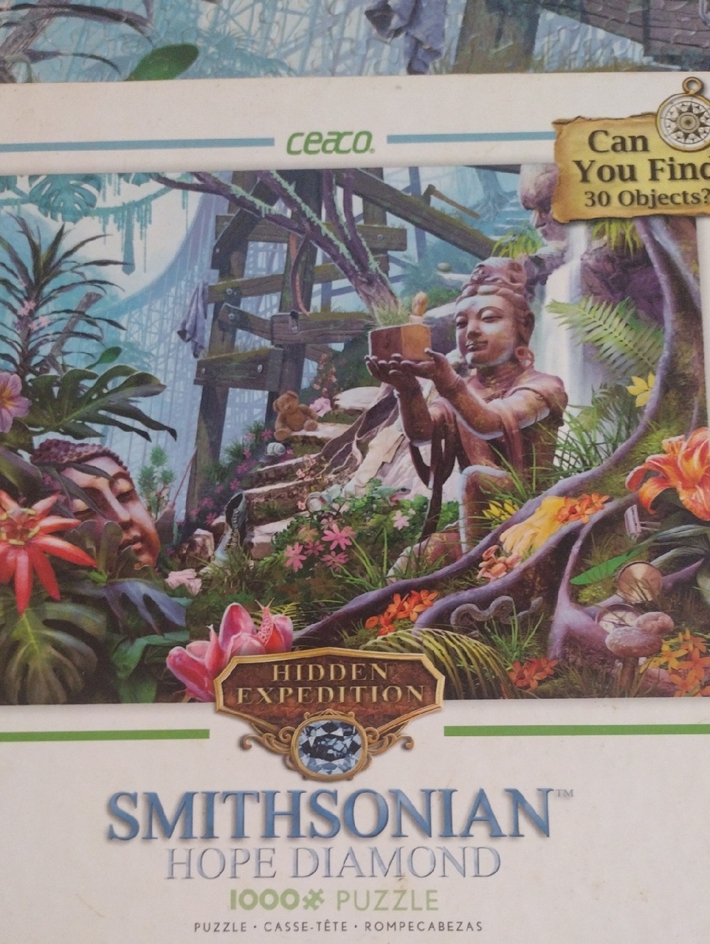 Smithsonian Puzzle - Picture 3 of 7